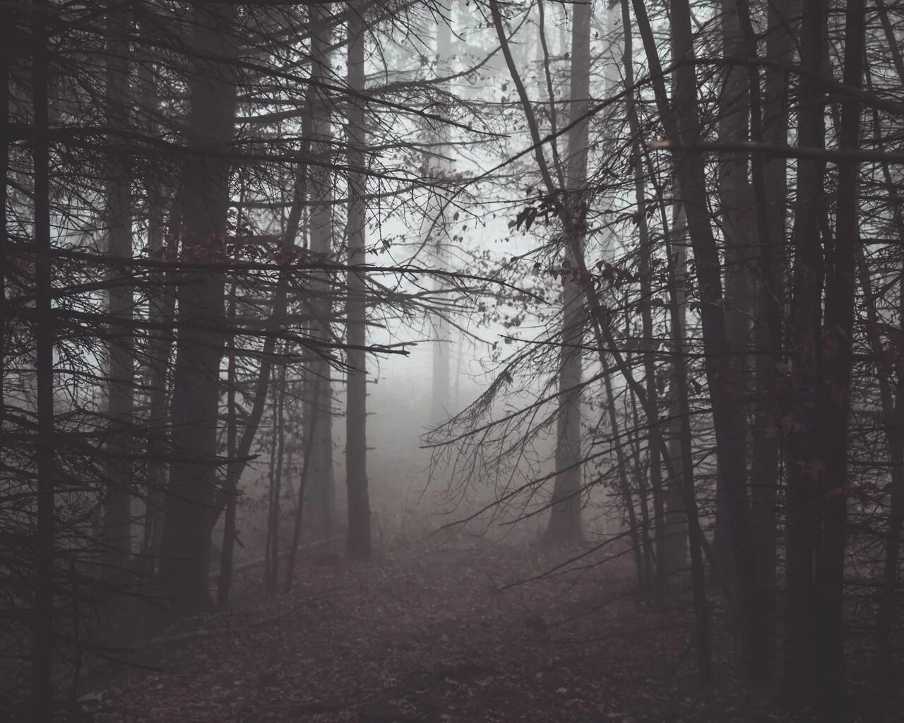 Слушать песню мрак. Игорь власьев ваганыч. Слушать песню мрак. Гитарист в темноте. Одинока луна джанага.