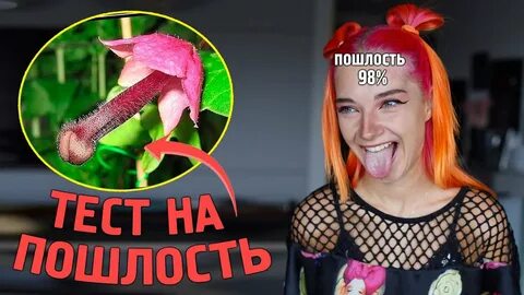 Пошлый ютуб