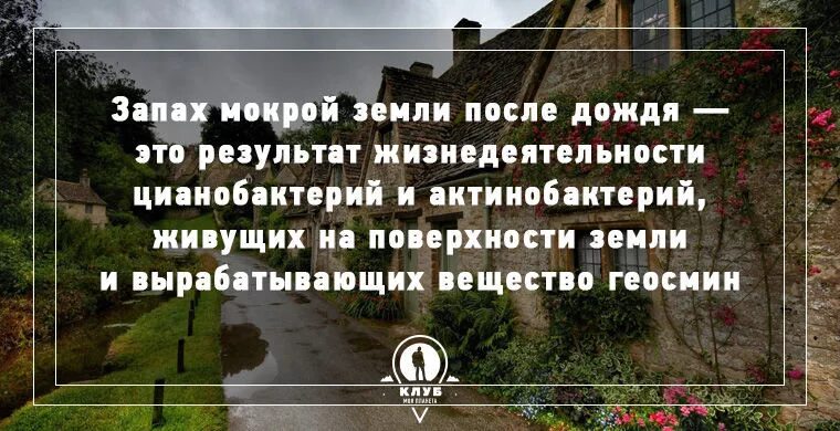 От человека пахнет землей. Запах земли после дождя. Запах мокрой земли после дождя. Интересные факты о Дожде. Как пахнет земля после дождя.