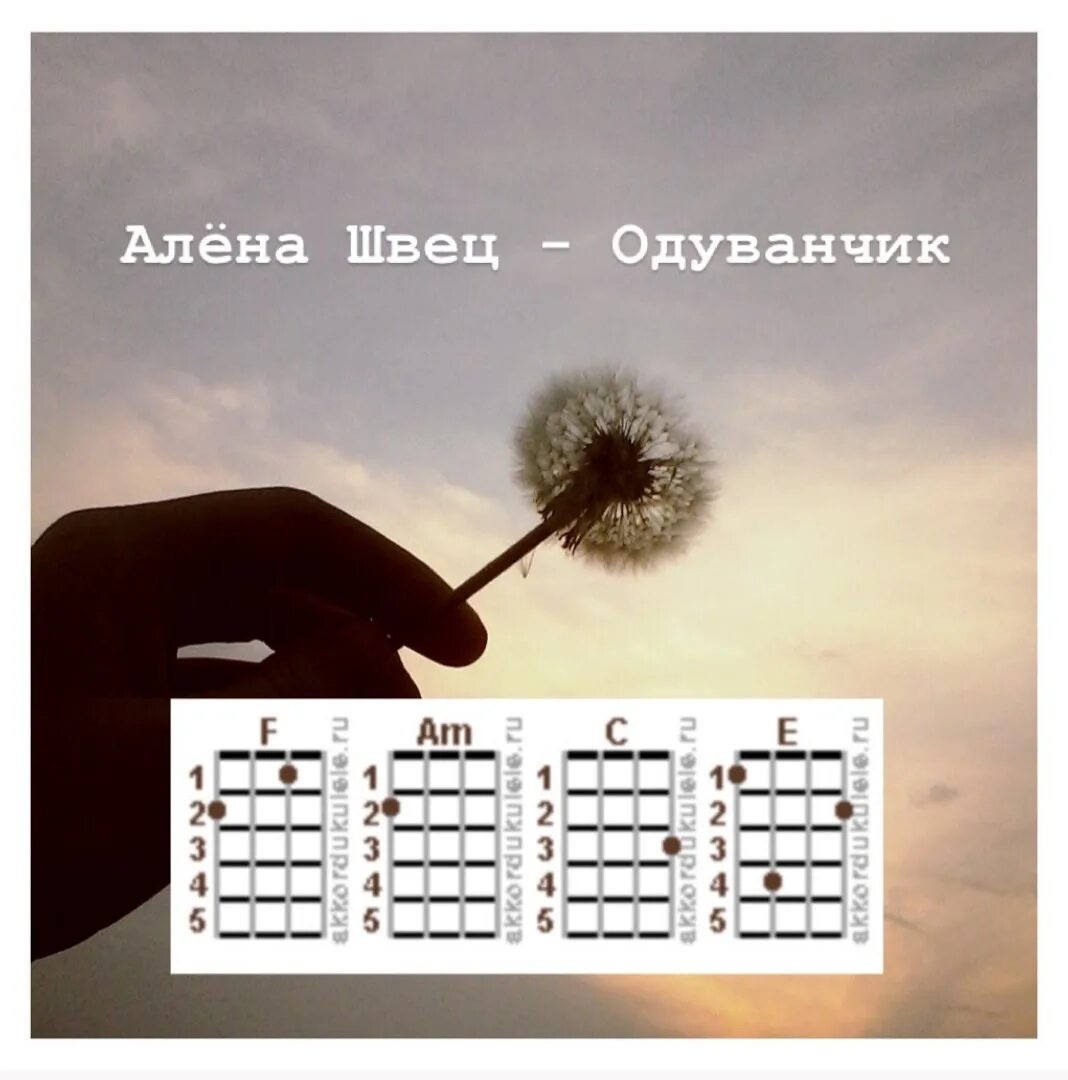 Песни швец тексты. Алена швец одуванчик. одуванчик текст алена швец. алёна швец одуванчик аккорды. одуванчики аккорды.