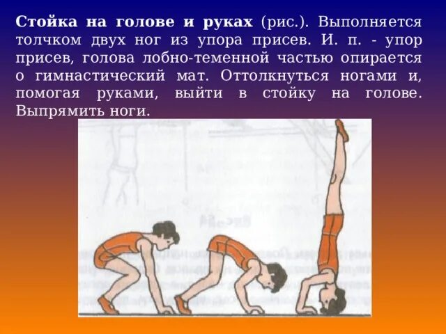 Сила вертикальных толчков. Сила вертикальных толчков