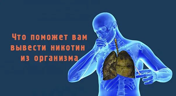 Выйдите никотин из легких. Продукты которые выводят никотин из организма. Продукты для выведения никотина из организма. Как выводится никотин из организма. Сколько выводится никотин.