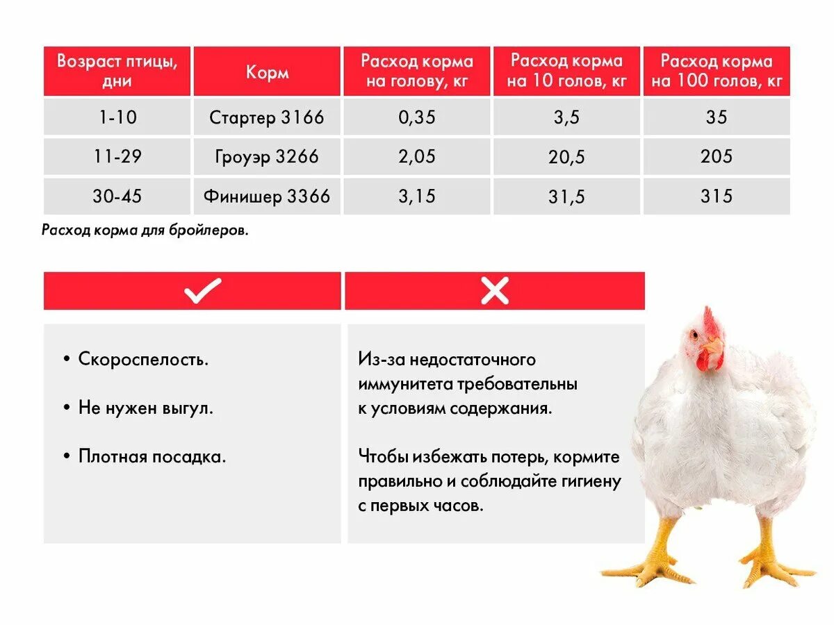 Норма расхода комбикорма для бройлеров. Потребление корма бройлерами. Потребление корма бройлерами таблица. Расход корма для бройлеров. Сколько раз в день кормить бройлеров