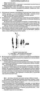 Лабораторная работа внешнее строение мхов ответы