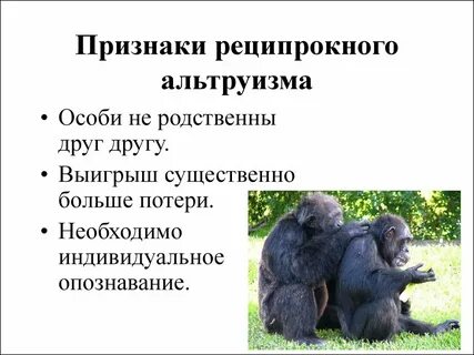Групповой отбор