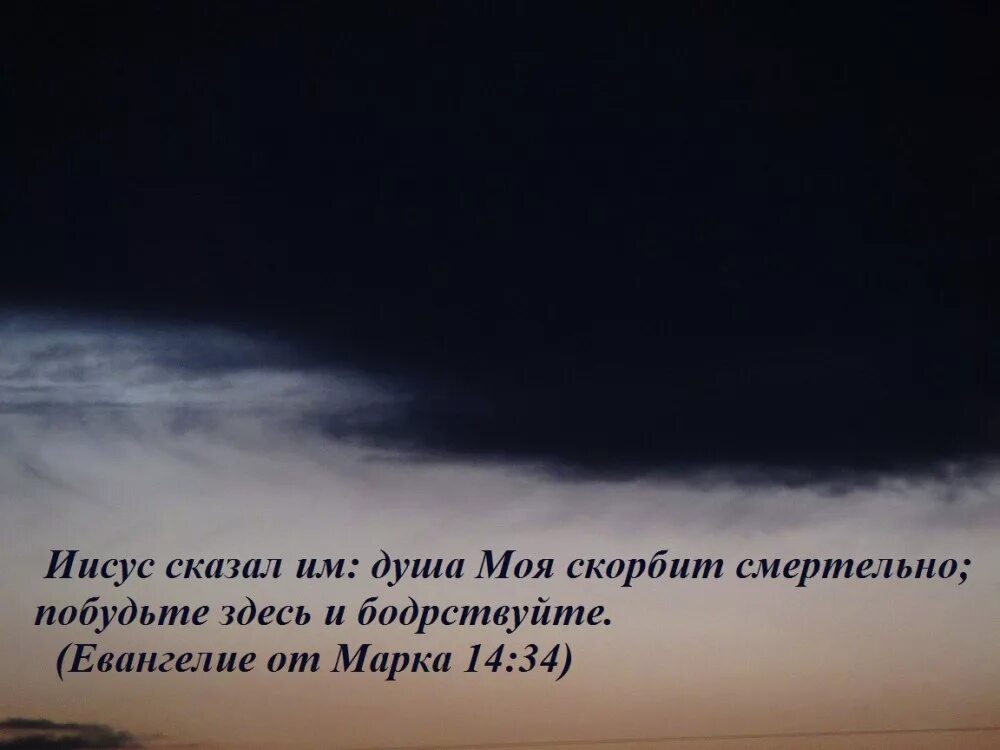 Выражение душа скорбит. Выражение душа ликует. Цитаты про душу. Душа скорбит. Стихи о тоске.