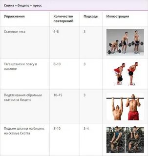 Программа тренировок для зала руки