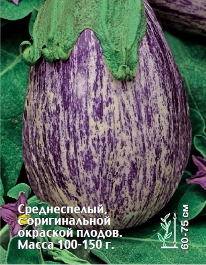 Баклажан Полосатый Бок * СВеточки