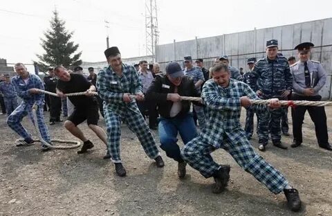 На 7 строгого