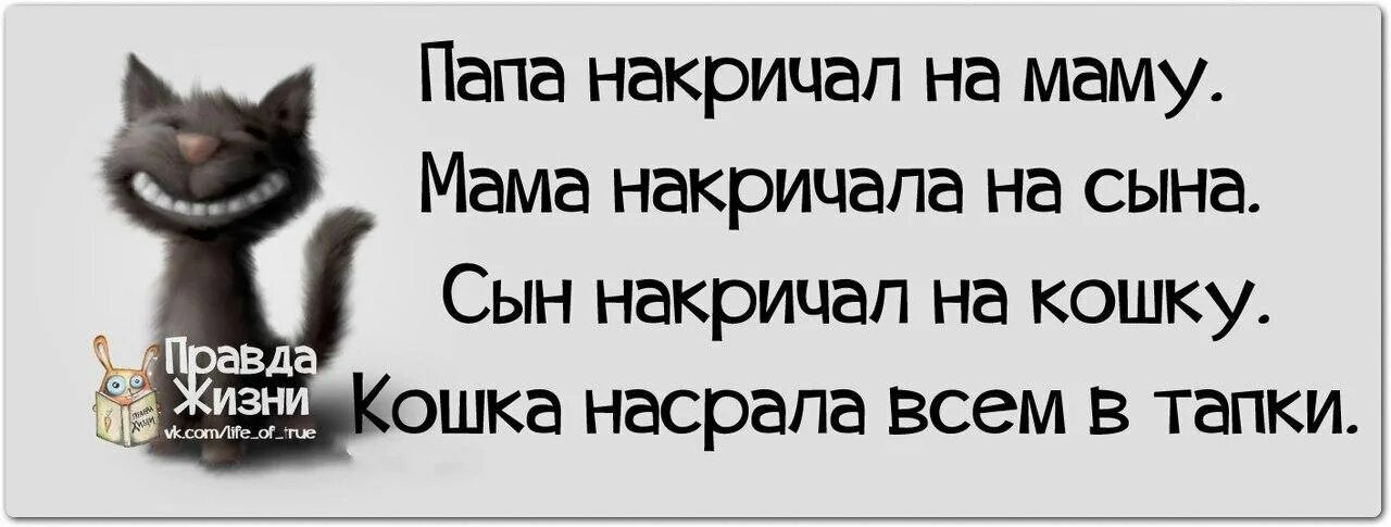 Это ошибка сынок но сын продолжает остановись