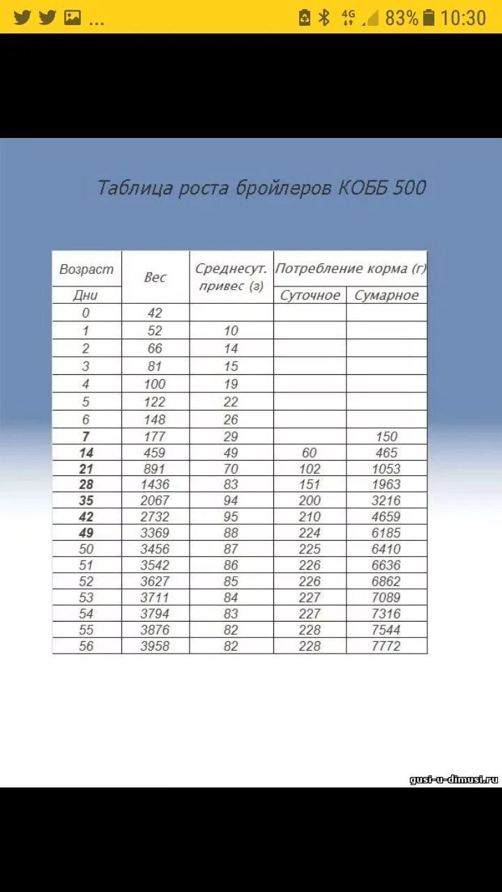 Таблица корма для бройлеров Кобб 500. Таблица роста бройлеров Кобб 500 по дням. Вес бройлера Кобб 500 по дням таблица. Таблица кормления бройлеров Кобб 500.