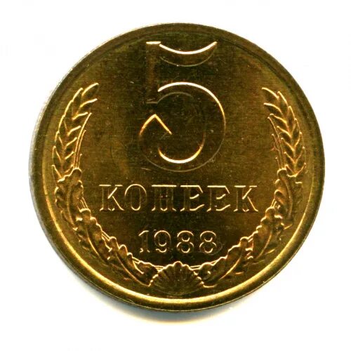 Монета 5 копеек 1988. Советская 5 копеек 1987. 5 копеек 1987 года. монета 5 копеек 1987 года. монета 5 копеек 1978.