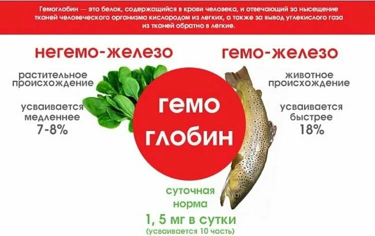 Поднять гемоглобин продуктами мужчине. Что поднимает гемоглобин. Продукты поднимающие гемоглобин. Продукты повышающие гемоглобин. Продукты для повышения гемоглобина в крови у детей.