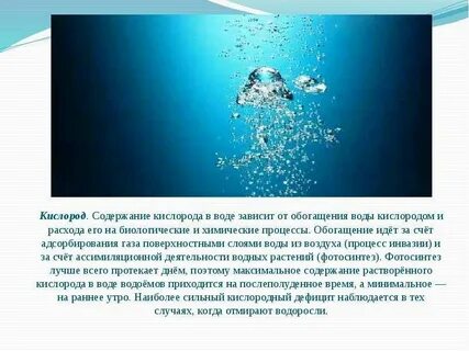 Раки дышат растворенным в воде кислородом