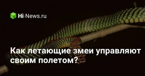 Почему змеи летают