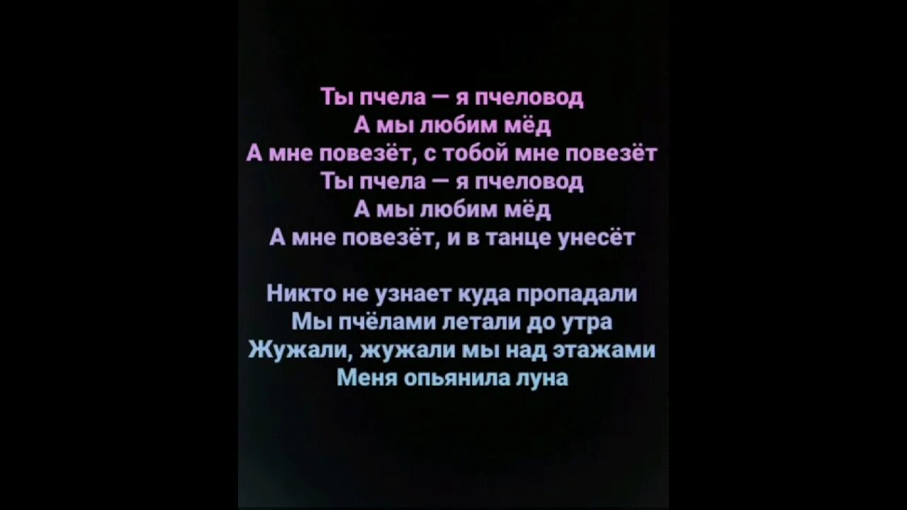 Хорошая песня ты пчела я пчеловод. Ты пчела я пчеловод Текс. Текст пчеловод текст. Текст песни пчеловод. Пчеловод текст песни раса.