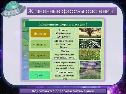 Многообразие форм жизни