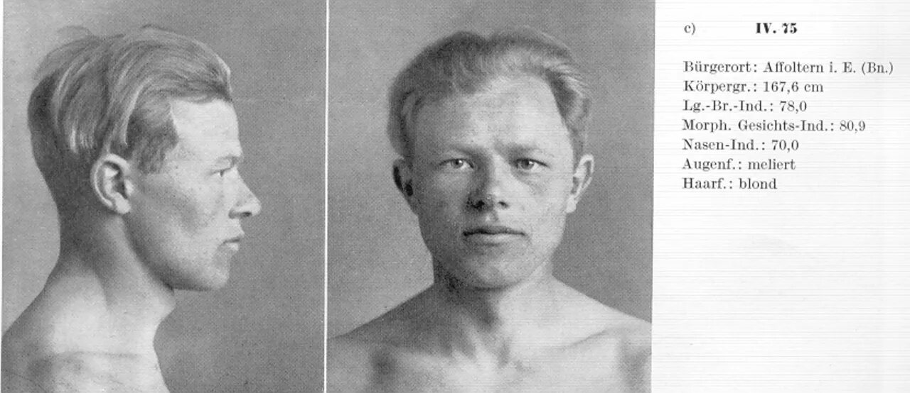 Расы западной европы