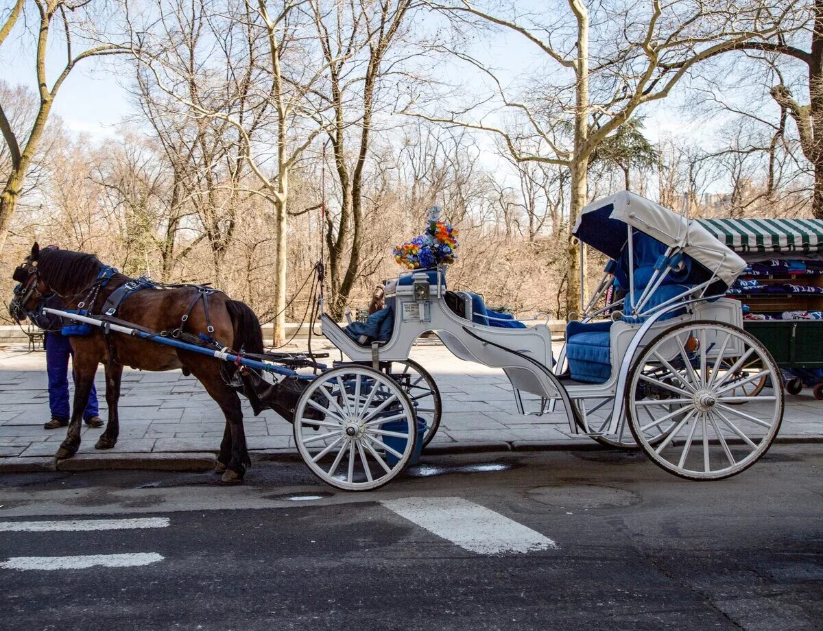 Калибер дрожки. Дрожки фото. Тарантас россия 19 век. Дрожки фото. Моторная пролетка.