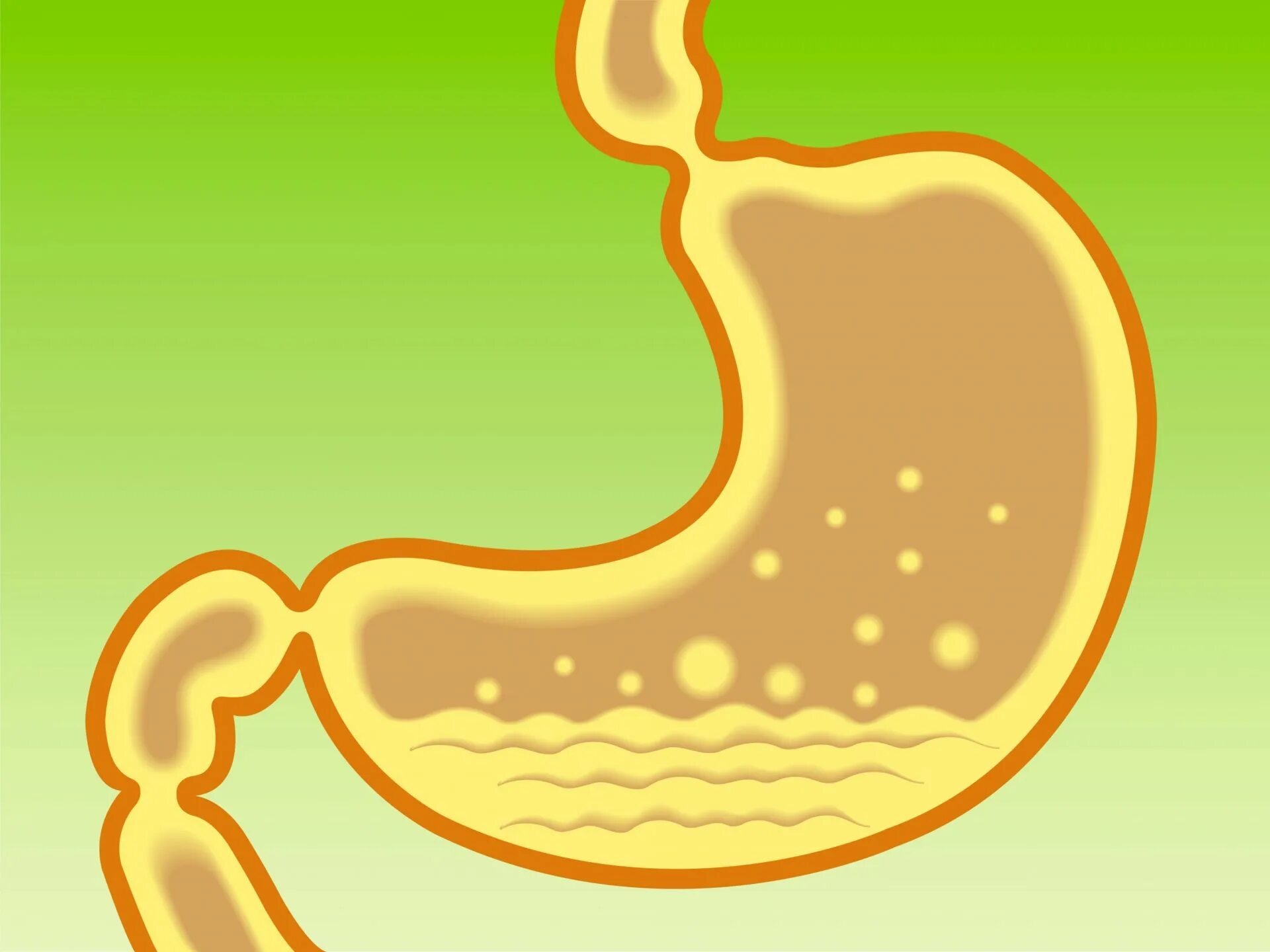 Желудок и желудочный сок. Пищеварительный сок желудка. Воняет из желудка