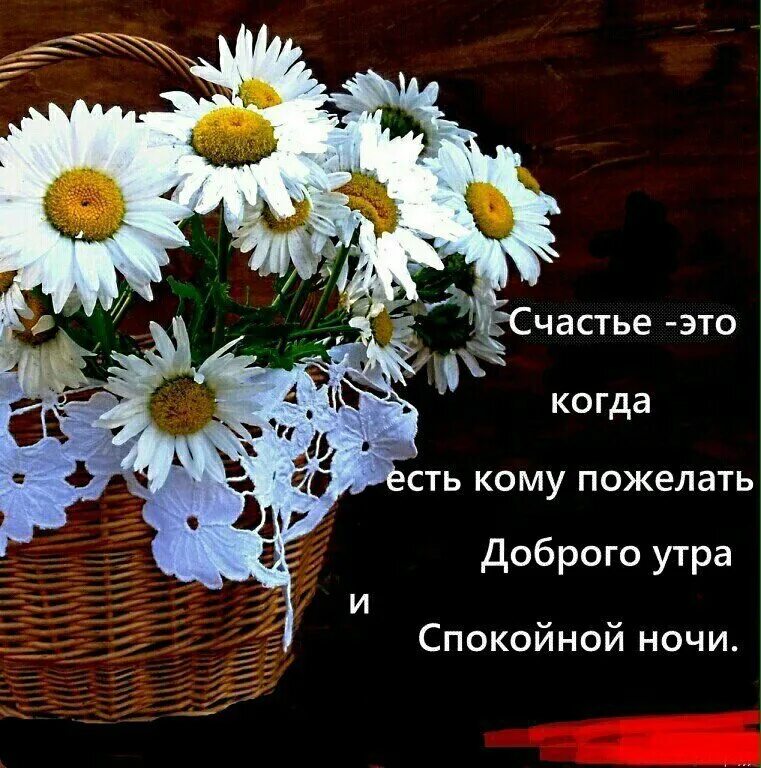 добрые пожелания. поздравления с хорошим утром. доброе утро с кофе и пожеланиями. пожелания с добрым утром и хорошего дня и настроения. утро было есть будет пожелание.
