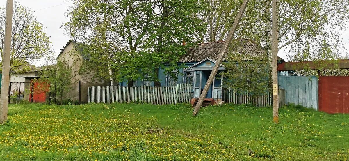 Ивановка Брянская область. Ивановка (Брянский район). Ивановка Богуславский район. Деревня Ивановка Шемышейский район.