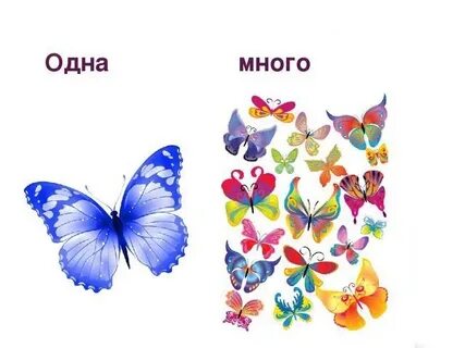 Много мало лета