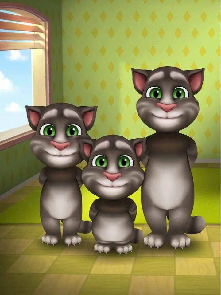 Мой говорящий том старая версия 2013. Talking Tom. Talking Tom 2011. Talking Tom Cat. Talking Tom 2016.