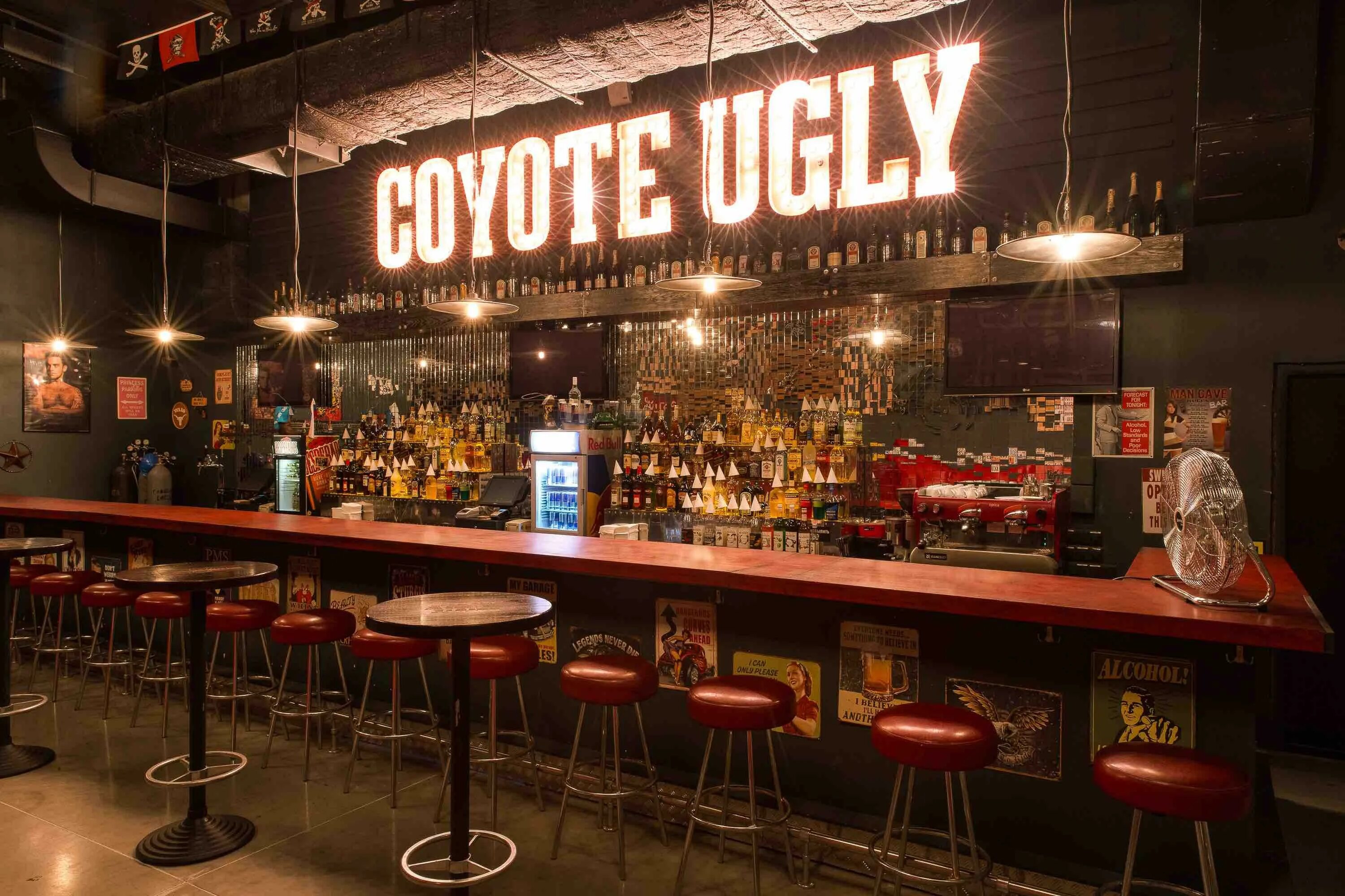 Бара бика. Бар Coyote ugly Москва. Гадкий койот бар СПБ. Гадкий койот бар в Москве. Бар Гадкий койот 2000.