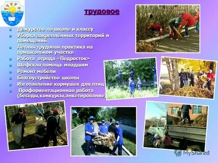 Школа трудовых практик