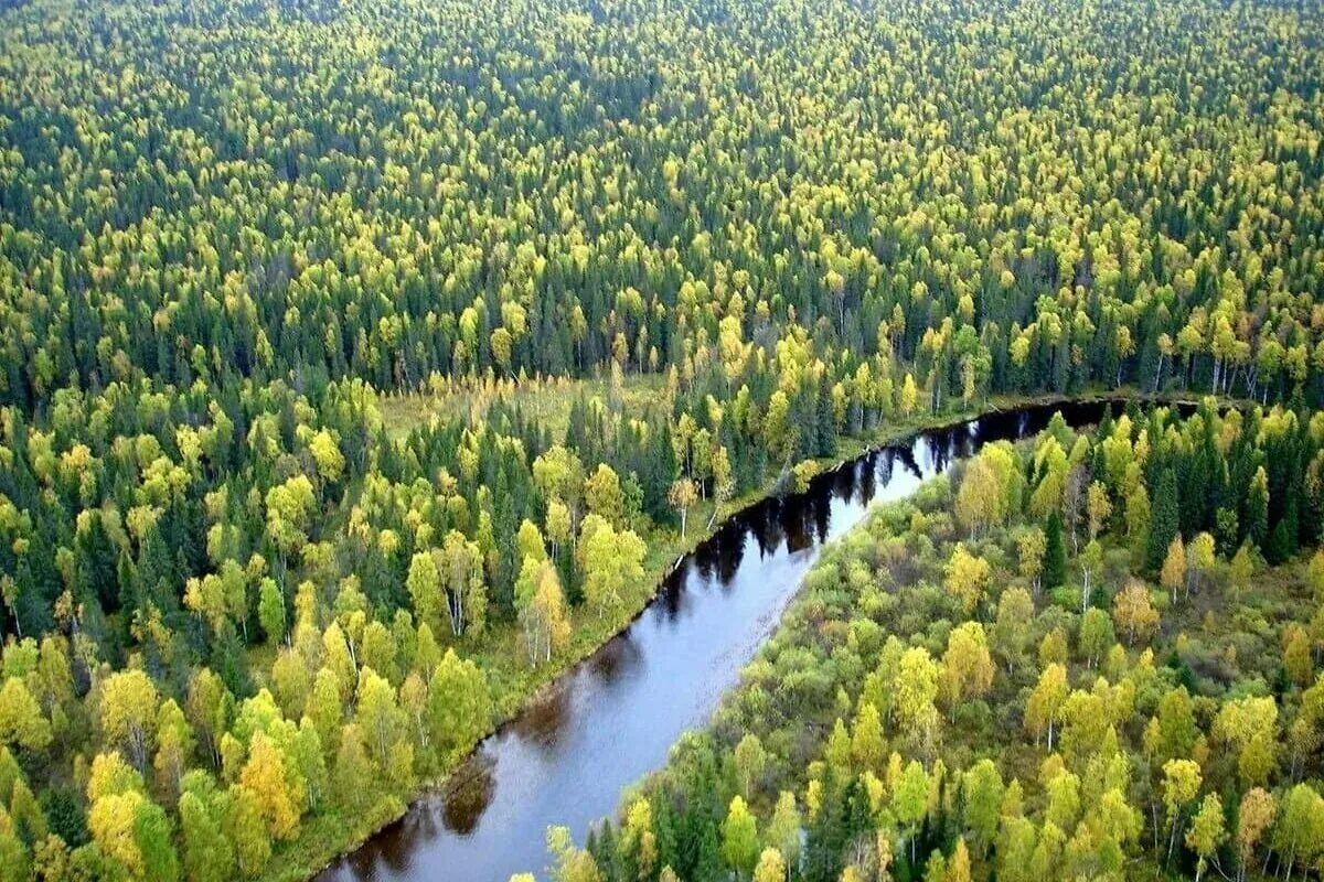 Russia is a of forests