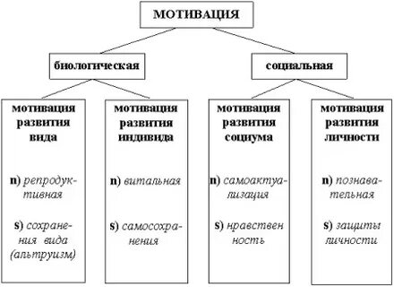 Виды личностных мотивов