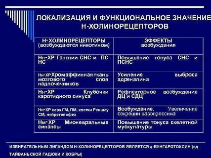 Эффекты холинорецепторов