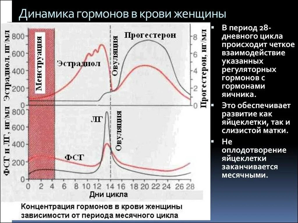 Как поднять лг