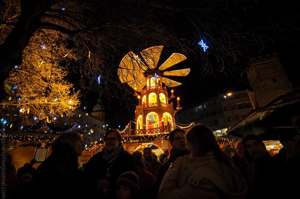 елка мюнхен. рождество христово в храме непорочного зачатия девы марии в москве. рождественские мистерии. католическое рождество в 2024. рождество христово инсталляция.