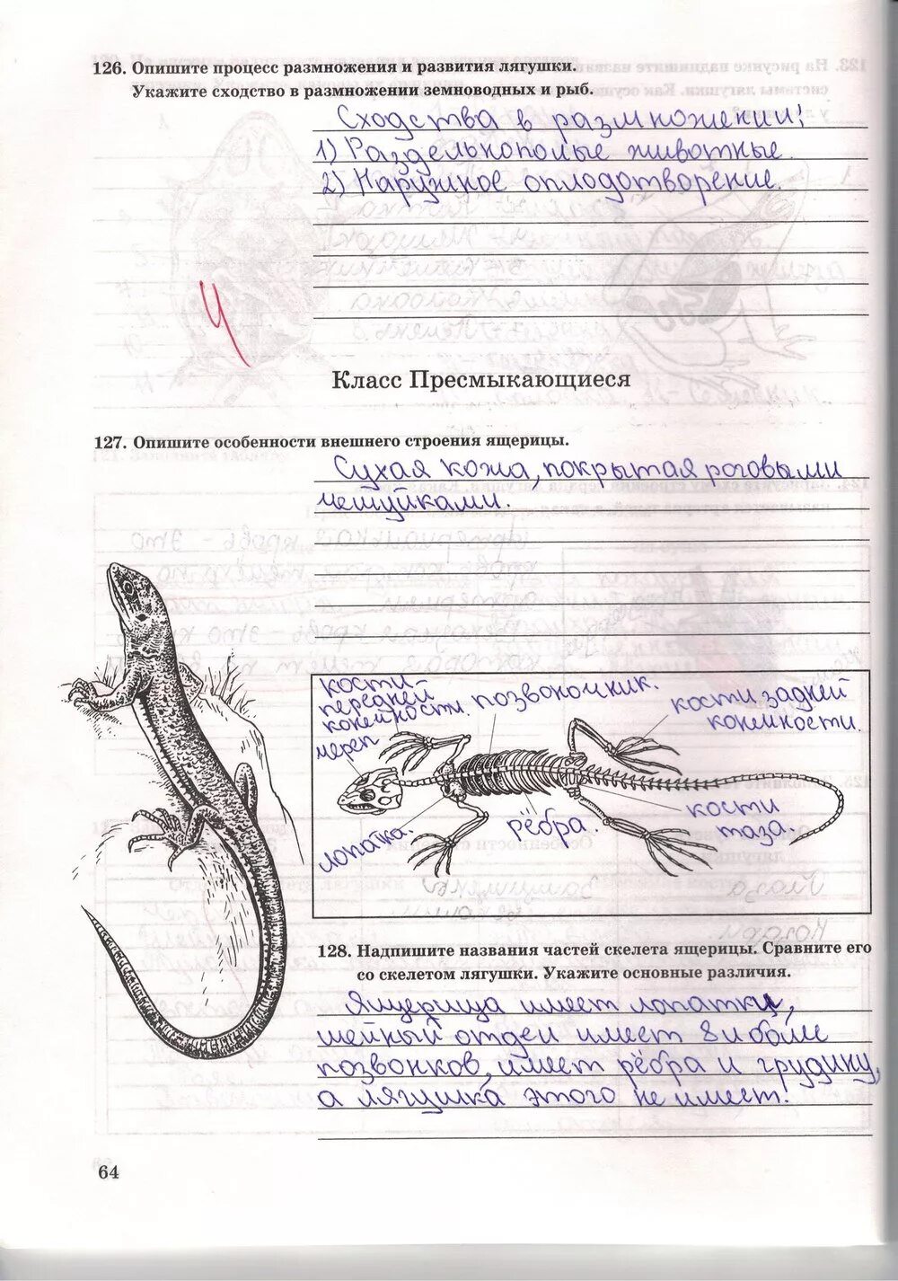 Рабочая тетрадь по биологии 7 класс. Укажите сходство и размножение земноводных и рыб. Сходство в размножении земноводных и рыб. Процесс размножения у земноводных и рыб. Сходства в размножении земноводных и рыб