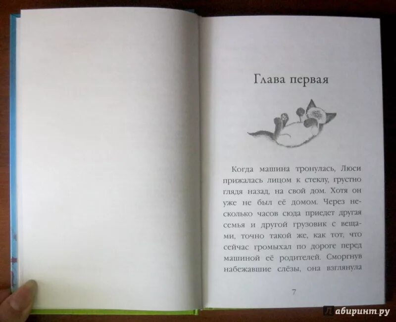 Котенок фиалка или коробка с сюрпризом. Котенок фиалка или коробка с сюрпризом