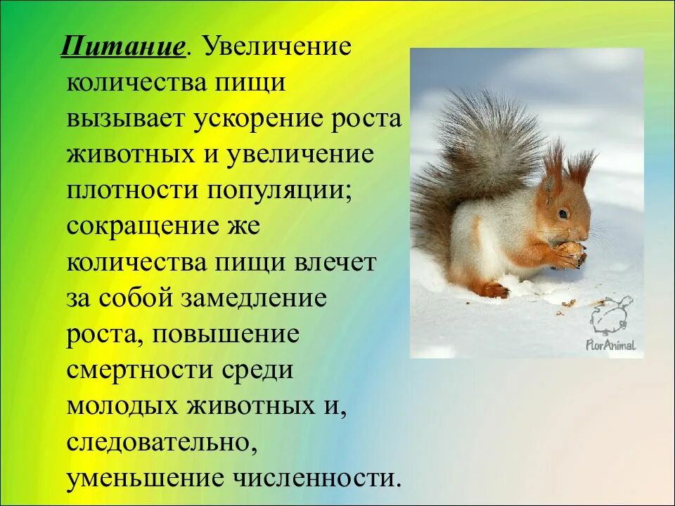 Правило аллена и бергмана и глогера. Проблема сокращения биоразнообразия. Увеличение животный. Уменьшение давления в природе. Увеличение и уменьшение давления в природе.