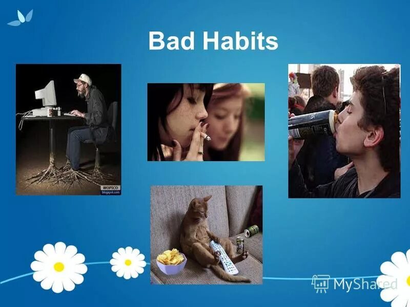 Bad habits lyrics. Bad habit mixed. Bad habit mixed. Bad habits слова. вредные привычки bad habits.