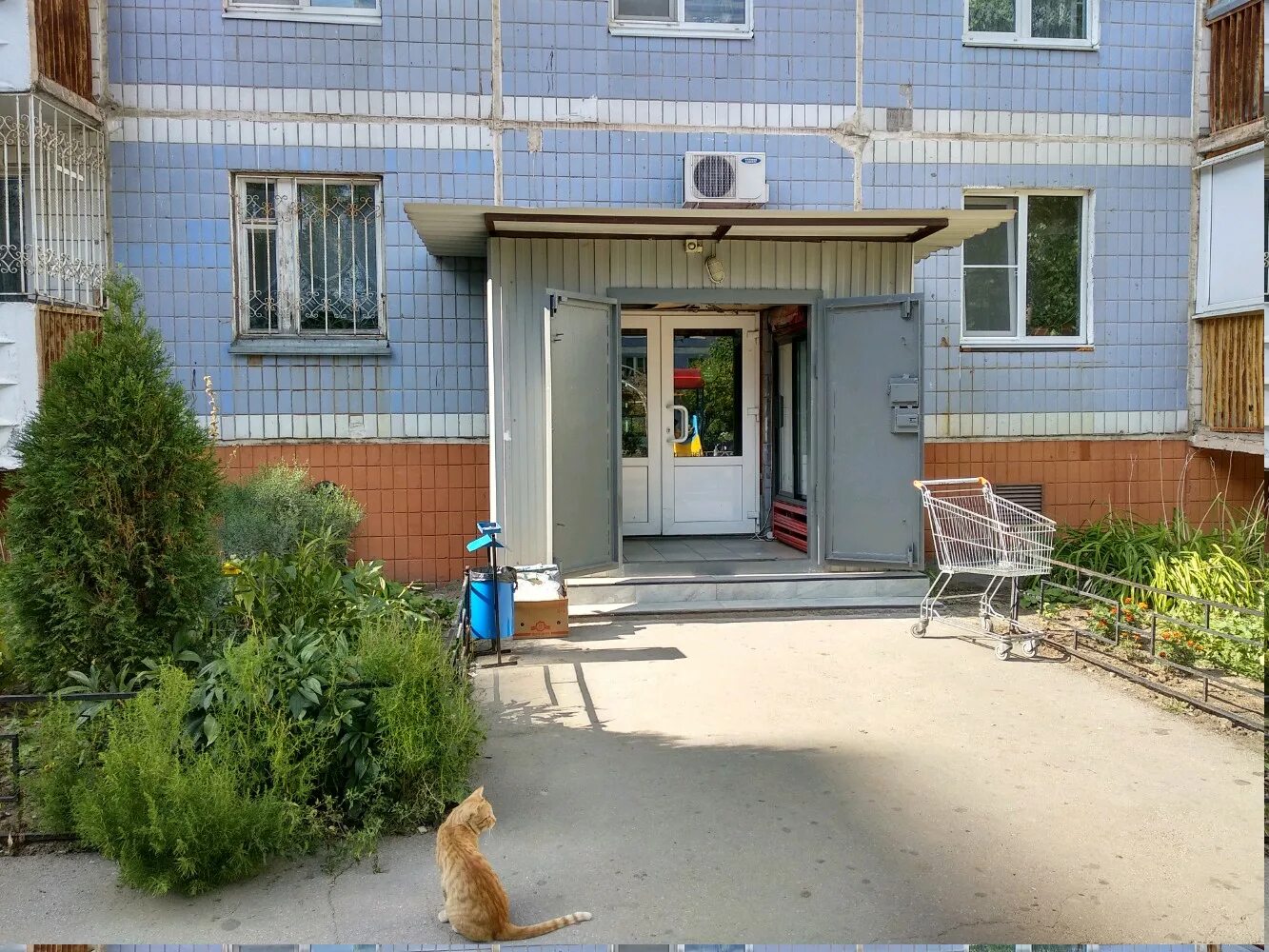 Рязань улица сельских. Улица строителей 5в рязань. сельских строителей 5в рязань. ул строителей д 5 в рязань. улица сельских строителей 5в рязань.