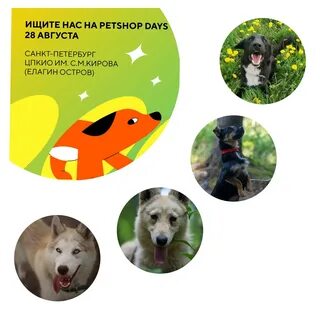 Pets shop days