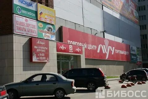 Тц луч