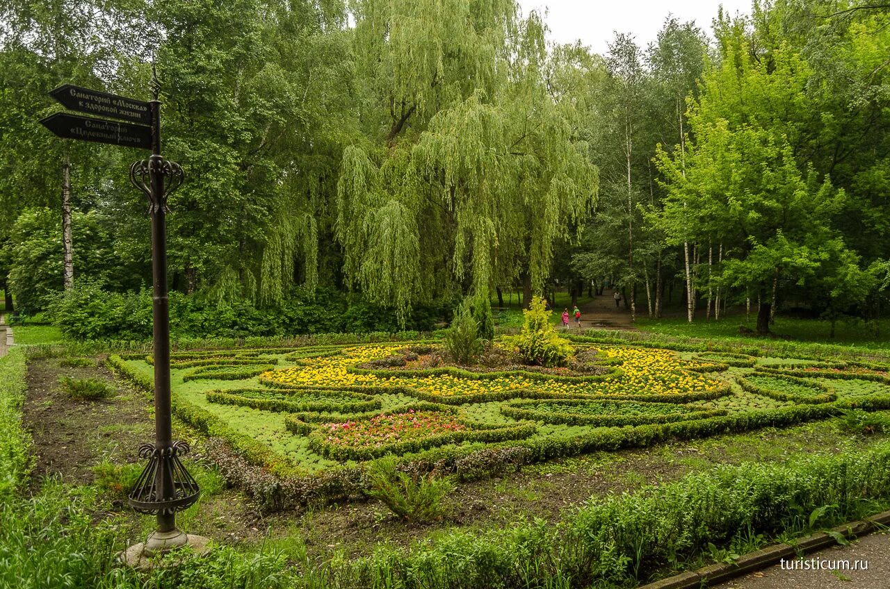 Ессентуки парк. Ессентукский Курортный парк. Ессентуки парк Курортный парк. Ессентуки Нижний парк. Курортный парк Ессентуки деревья.