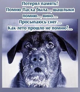 Потому что ты не ругаешься