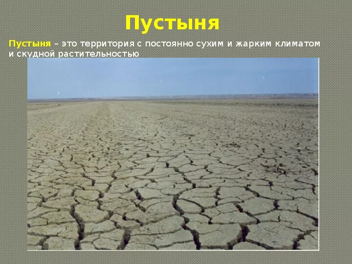 Глинистые пустыни. Пустыни на территории Казахстана. Опустынивание в России. Такыр. На территориях с жарким и климатом