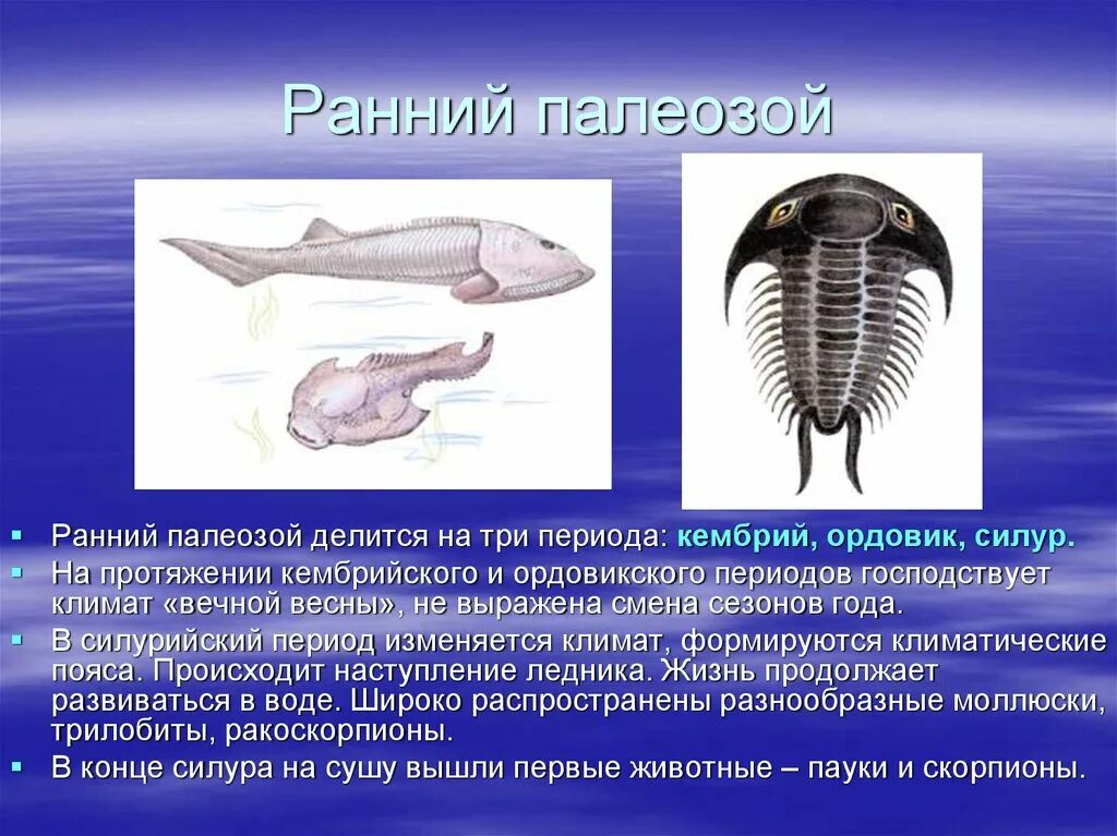 Существовавший в палеозое. Ранний палеозой. Сообщение ранний палеозой .. Климатические пояса палеозоя.