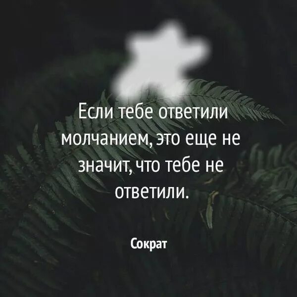 На вопросы отвечают молчанием. Если вам ответили молчанием. Молчание это тоже ответ как это понять. Если тебе ответили молчанием это еще. Молчание это тоже ответ.