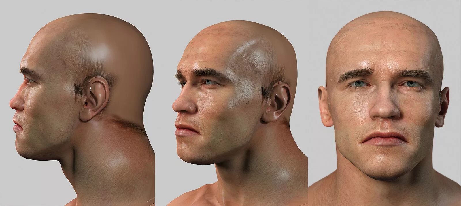 Фото со всех сторон. Голова со всех сторон. Голова в профиль и анфас. 3d модель головы человека. Голова ФАС И профиль.