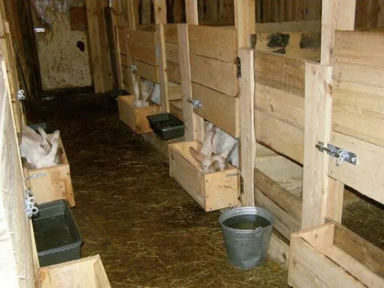 Козлятник +свинарник+курятник. Козлятник помещение для коз. Сарай для скотины. Сарай для 4 быков. Деревянный сарай для свиней.