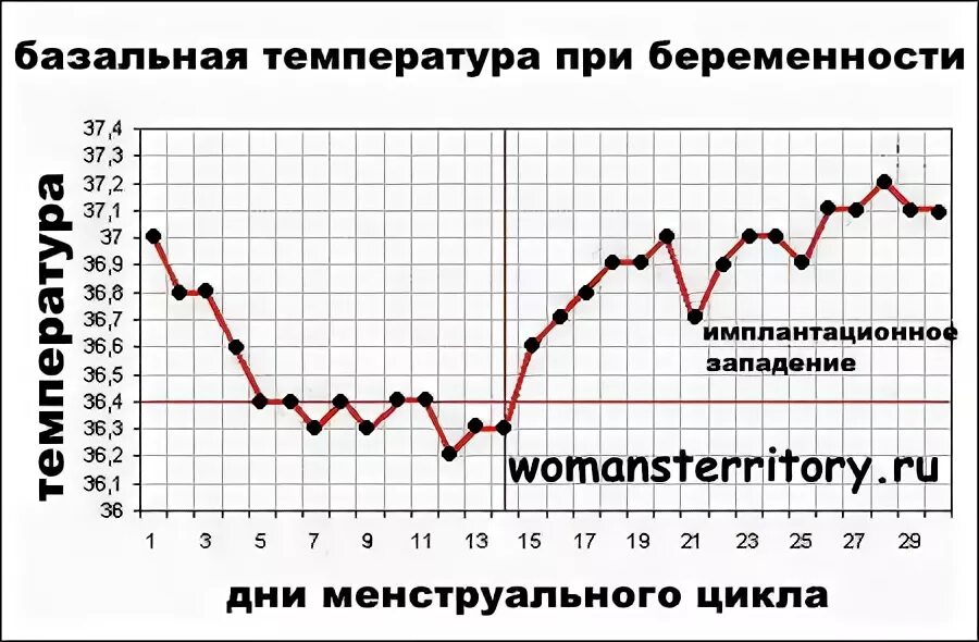 График температуры при беременности на ранних сроках. График температуры тела при беременности. Нормальный график базальной температуры при беременности. График БТ при беременности до задержки.